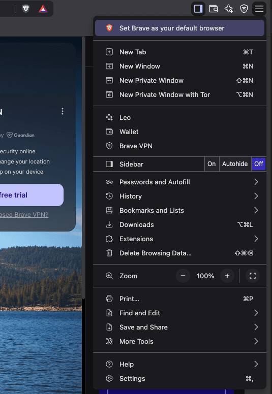 Brave Settings